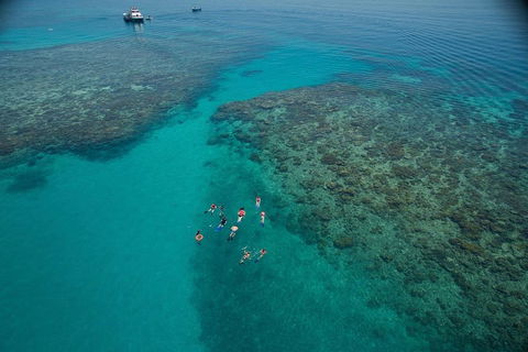 Ocean Freedom Great Barrier Reef Personal Luxury Snorkel & Dive Cruise, Cairns - Kalgoorlie Accommodation 3