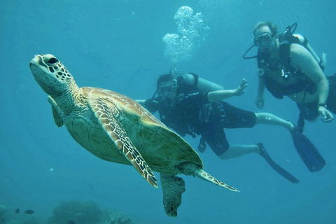 Ocean Freedom Great Barrier Reef Personal Luxury Snorkel & Dive Cruise, Cairns - Kalgoorlie Accommodation 4