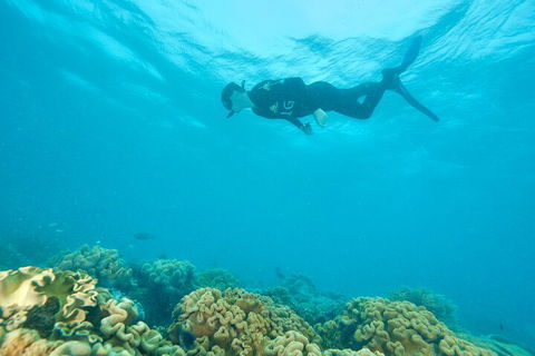 Ocean Freedom Great Barrier Reef Personal Luxury Snorkel & Dive Cruise, Cairns - Kalgoorlie Accommodation 5