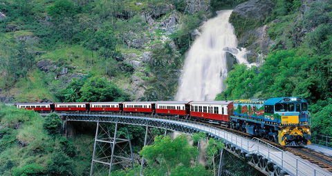 Classic Kuranda By Skyrail And Scenic Railway Including Rainforestation, Koala And Wildlife Park And Pamagirri Aboriginal Experi - Kalgoorlie Accommodation 1