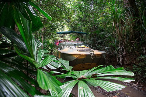 Classic Kuranda By Skyrail And Scenic Railway Including Rainforestation, Koala And Wildlife Park And Pamagirri Aboriginal Experi - Kalgoorlie Accommodation 4