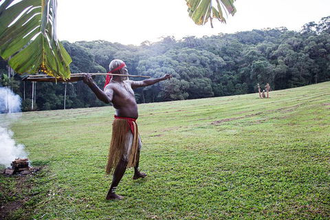 Classic Kuranda By Skyrail And Scenic Railway Including Rainforestation, Koala And Wildlife Park And Pamagirri Aboriginal Experi - Kalgoorlie Accommodation 5