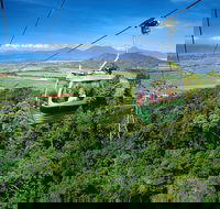 Best of Kuranda Including Skyrail Kuranda Scenic Railway and Rainforestation - Kalgoorlie Accommodation