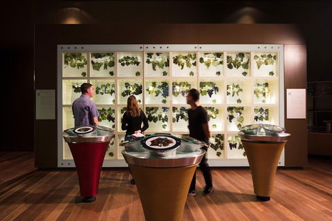 Australian Wine Discovery Tour Ticket - Kalgoorlie Accommodation 3