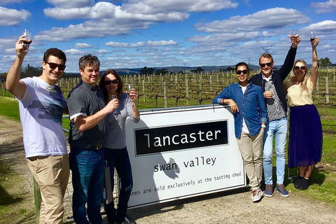 Swan Valley Tour From Perth: Wine, Beer And Chocolate Tastings - Kalgoorlie Accommodation 1
