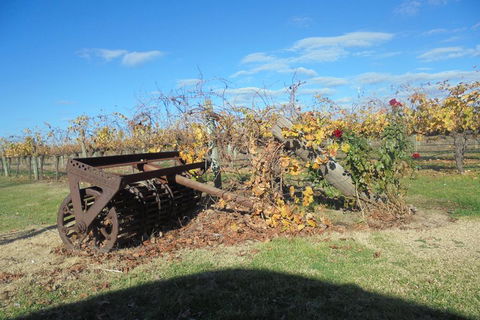 Swan Valley Tour From Perth: Wine, Beer And Chocolate Tastings - Kalgoorlie Accommodation 3