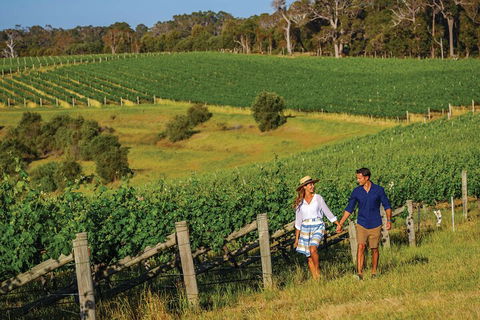 10 Day Perth To Adelaide Private Tour - The Great Australian Wilderness Journey - Kalgoorlie Accommodation 0