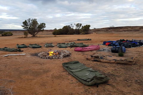 10-Day Perth To Adelaide Adventure Tour - Kalgoorlie Accommodation 0