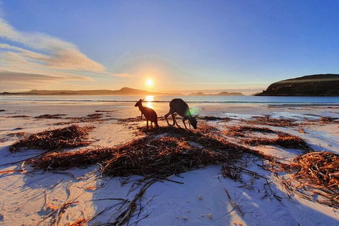10-Day Perth To Adelaide Adventure Tour - Kalgoorlie Accommodation 1