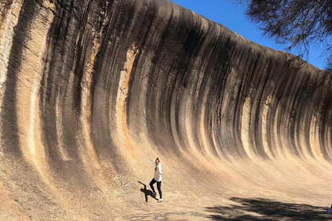 6 Day Esperance & Margaret River Adventure Tour - Kalgoorlie Accommodation 4