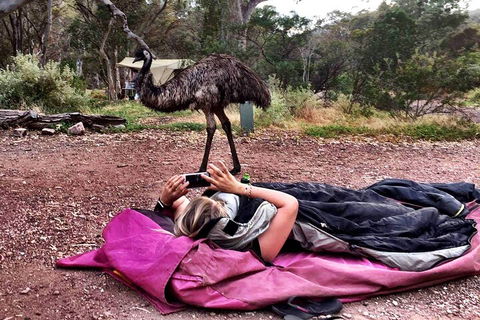 6 Day Esperance & Margaret River Adventure Tour - Kalgoorlie Accommodation 5