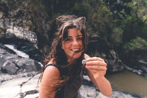 Springbrook AndTamborine Rainforest Tour Incl Natural Bridge And Glow Worm Cave - Kalgoorlie Accommodation 1