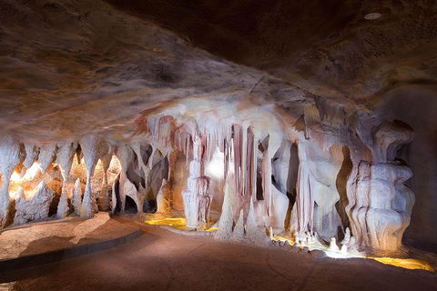 Springbrook AndTamborine Rainforest Tour Incl Natural Bridge And Glow Worm Cave - Kalgoorlie Accommodation 4