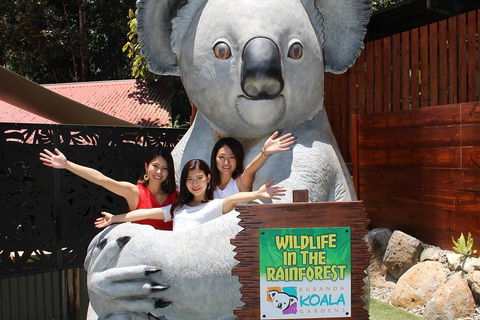 Kuranda Koala Gardens And Birdworld Admission Tickets - Kalgoorlie Accommodation 3