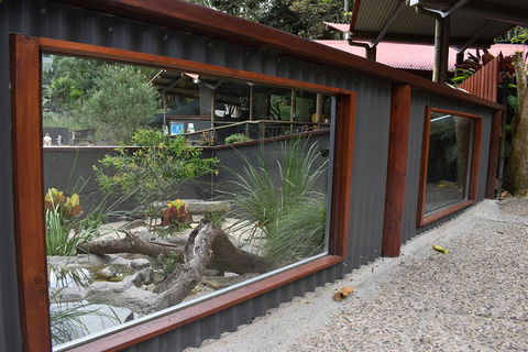 Kuranda Koala Gardens And Birdworld Admission Tickets - Kalgoorlie Accommodation 4