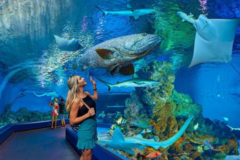 Cairns Aquarium Admission Ticket - Kalgoorlie Accommodation 3