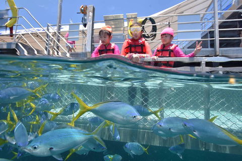 Outer Reef Pontoon Experience From Cairns - Kalgoorlie Accommodation 0