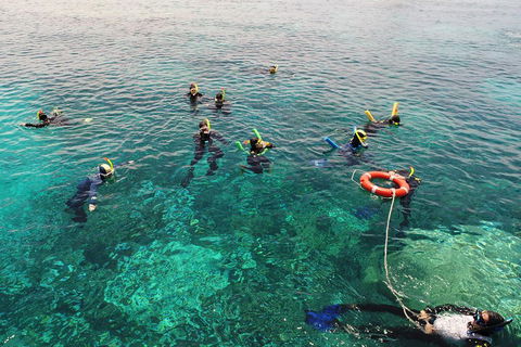 Seastar Luxury Outer Great Barrier Reef Island And Reef Tour From Cairns - Kalgoorlie Accommodation 2