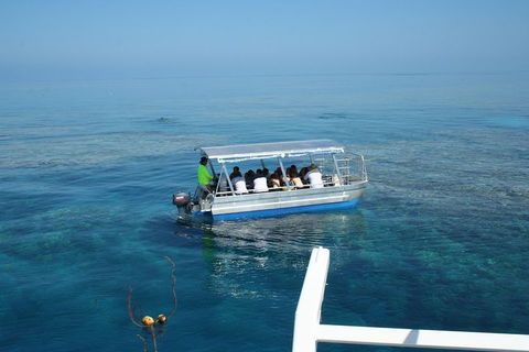 Seastar Luxury Outer Great Barrier Reef Island And Reef Tour From Cairns - Kalgoorlie Accommodation 5
