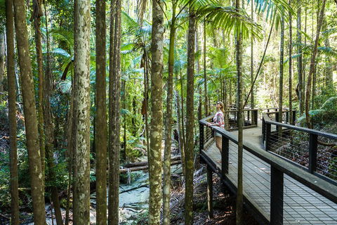 All-Inclusive Fraser Island Day Tour - Kalgoorlie Accommodation 5