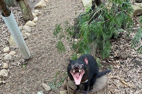 Featherdale Wildlife Park General Admission - Kalgoorlie Accommodation 1