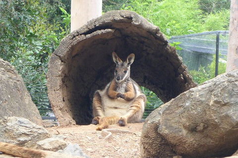 Featherdale Wildlife Park General Admission - Kalgoorlie Accommodation 2