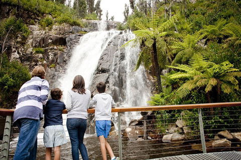 Lake Mountain Snow Trip Including Yarra Valley Chocolaterie From Melbourne - Kalgoorlie Accommodation 0