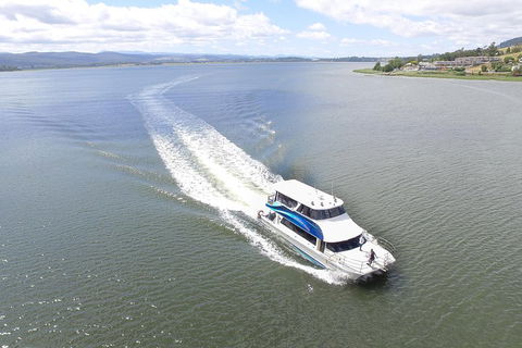 2.5 Hour Morning Discovery Cruise Including Sailing Into The Cataract Gorge - Kalgoorlie Accommodation 2