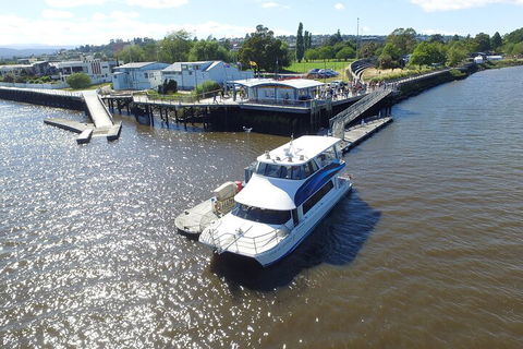 2.5 Hour Morning Discovery Cruise Including Sailing Into The Cataract Gorge - Kalgoorlie Accommodation 3