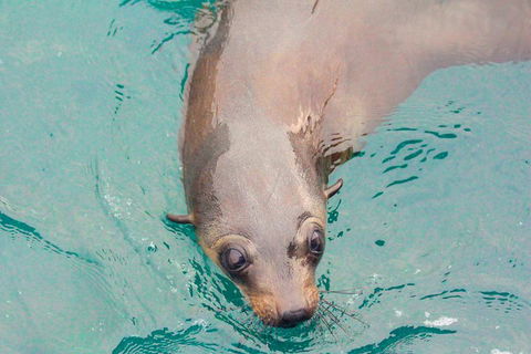 Wilsons Promontory Full Day Cruise - Kalgoorlie Accommodation 0