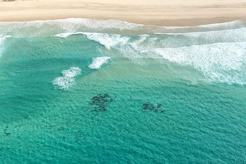 Coastal Helicopter Shared Flight - 20 Minutes - Kalgoorlie Accommodation 4