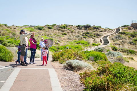 Margaret River Coastal And Wildlife Eco Trip From Busselton Or Dunsborough - Kalgoorlie Accommodation 0