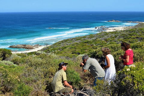 Margaret River Coastal And Wildlife Eco Trip From Busselton Or Dunsborough - Kalgoorlie Accommodation 2