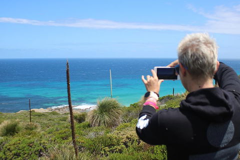 Margaret River Coastal And Wildlife Eco Trip From Busselton Or Dunsborough - Kalgoorlie Accommodation 3