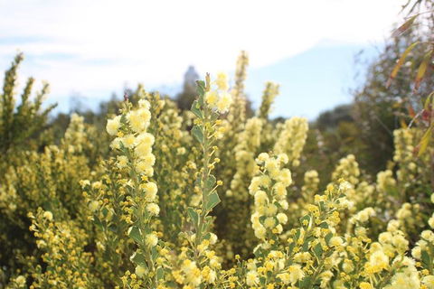 Margaret River Coastal And Wildlife Eco Trip From Busselton Or Dunsborough - Kalgoorlie Accommodation 4