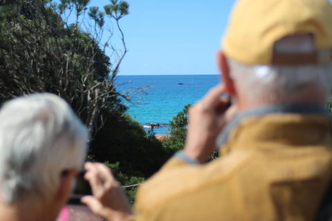 Margaret River Coastal And Wildlife Eco Trip From Busselton Or Dunsborough - Kalgoorlie Accommodation 5